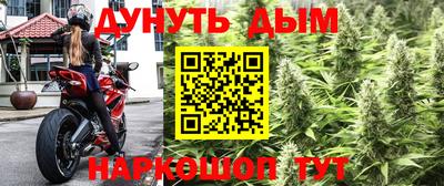 трава Новоалександровск