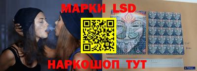 стафф Донской