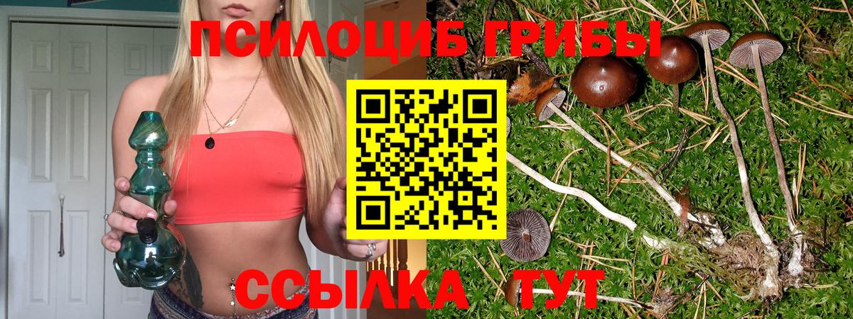 Псилоцибиновые грибы мухоморы Городец