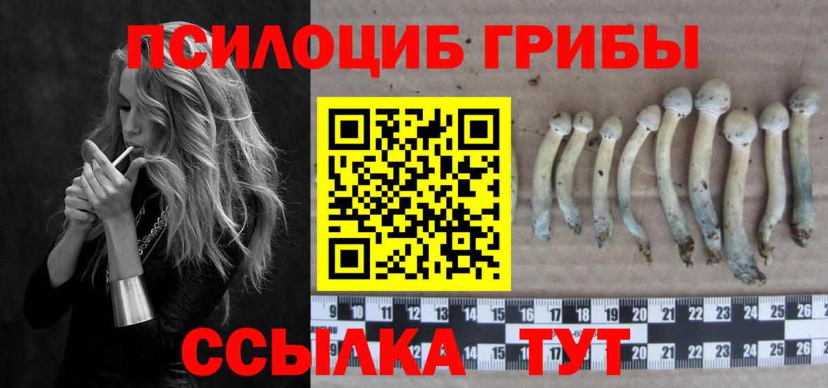Городец  Галлюциногенные грибы MAGIC MUSHROOMS  Вход с VPN  закладка  Псилоцибиновые грибы прущие грибы 